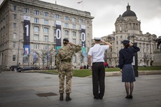 100 days to Armed Forces Day