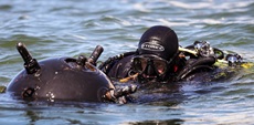 A Royal Navy Clearance Diver inspects a floating mine contact during a training exercise.