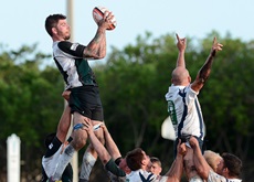 Royal Navy Rugby