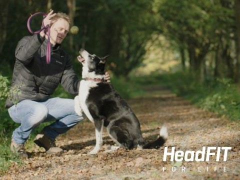 headfit promo poster of man, knelt down with stick in raised hand, playing with sat down border collie dog in wooded trail