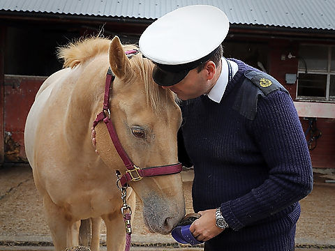 royal navy officer leading horse from stable
