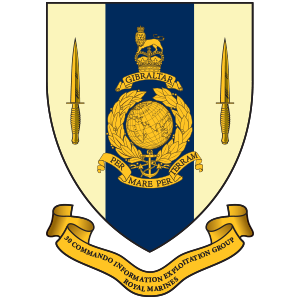 30 Commando IX Group Royal Marines Shield lapel pin badge 