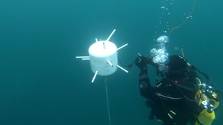 xdg diver rigging underwater mine for controlled explosion