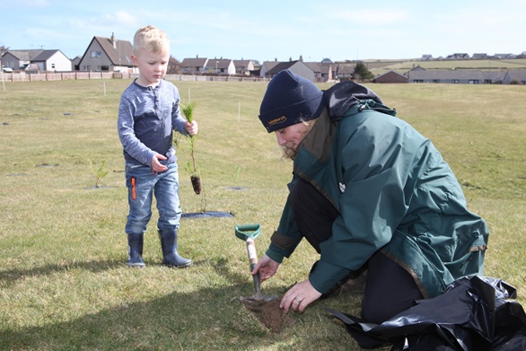 Trees planted in Orkneys ahead of centenary of HMS Hampshire tragedy