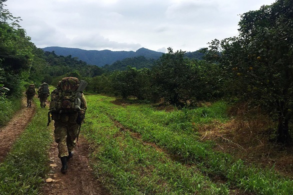Royal Marines hone their jungle fighting skills