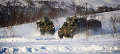Vikings return to Norway as Royal Marines train Americans