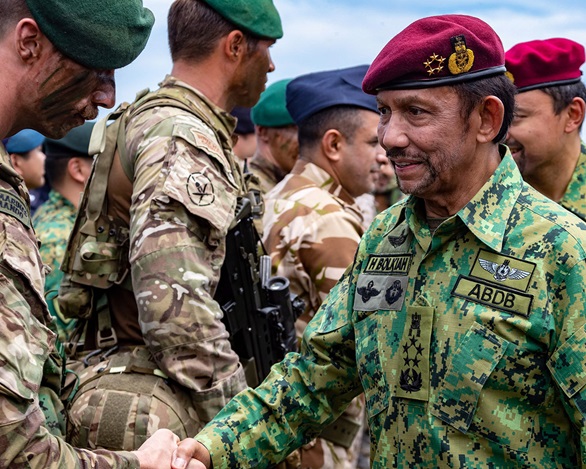 Royal Marines swing into action for Sultan of Brunei