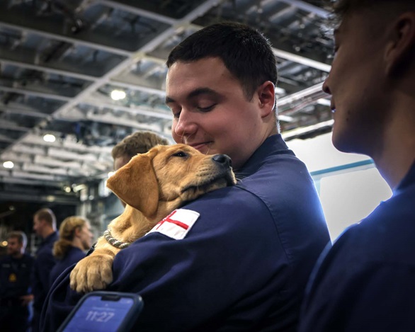 Sailors on HMS Prince of Wales were treated to a visit from charity Mutts with a Mission. Picture: LPhot Finn Stainer-Hutchins