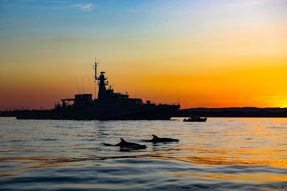 Dolphins join HMS Tamar off Portland