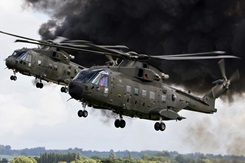 RNAS Yeovilton's resident forces join Air Day line-up