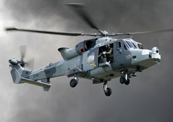 RNAS Yeovilton's resident forces join Air Day line-up